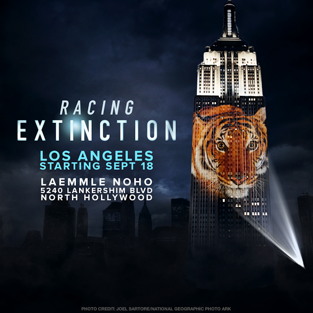 “Racing Extinction” the Movie and what WE can do!